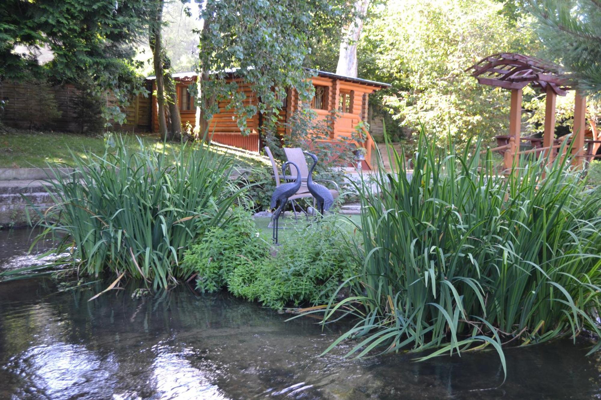 Traditional Log Next To Harry Potter * Kings Langley
