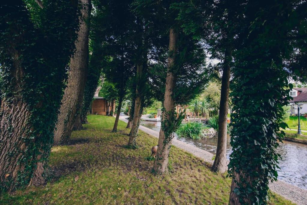 Traditional Log Next To Harry Potter Chalet